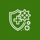 Auto Immune Disease